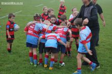 Junior Rugby Kicks Off 00124