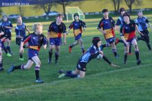 Scone Junior Rugby 0076