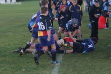 Scone Junior Rugby 0143