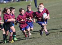 Rippa Town v Country 0024